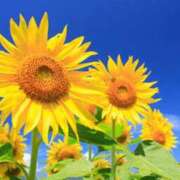 ヒメ日記 2025/07/13 11:18 投稿 陽ノ宮 江茉 名古屋貴楼館