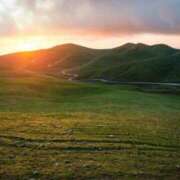 ヒメ日記 2025/07/17 09:58 投稿 陽ノ宮 江茉 名古屋貴楼館