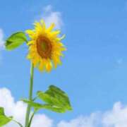 ヒメ日記 2025/07/27 22:38 投稿 陽ノ宮 江茉 名古屋貴楼館