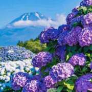 ヒメ日記 2025/08/17 21:28 投稿 陽ノ宮 江茉 名古屋貴楼館