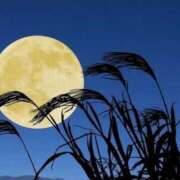 陽ノ宮 江茉 明日から９月です！ 名古屋貴楼館