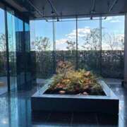 ヒメ日記 2026/02/26 13:48 投稿 陽ノ宮 江茉 名古屋貴楼館