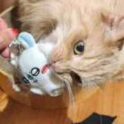 ヒメ日記 2025/05/22 12:03 投稿 真緒(まお) PLUS梅田店