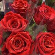 ヒメ日記 2025/02/28 16:46 投稿 VIVI GINGIRA☆TOKYO～ギンギラ東京～