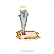 ヒメ日記 2025/03/18 19:48 投稿 VIVI GINGIRA☆TOKYO～ギンギラ東京～