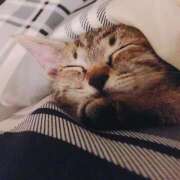 ヒメ日記 2025/04/20 21:16 投稿 VIVI GINGIRA☆TOKYO～ギンギラ東京～