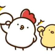 ヒメ日記 2025/03/12 09:44 投稿 あきみ ギン妻パラダイス 和歌山店