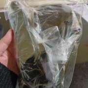 ヒメ日記 2025/03/31 14:35 投稿 あきみ ギン妻パラダイス 和歌山店