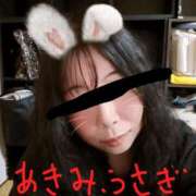 ヒメ日記 2025/03/31 17:05 投稿 あきみ ギン妻パラダイス 和歌山店