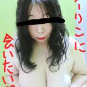 ヒメ日記 2025/04/01 16:54 投稿 あきみ ギン妻パラダイス 和歌山店