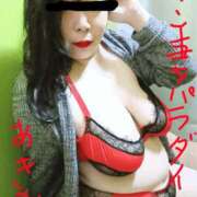 ヒメ日記 2025/04/15 12:01 投稿 あきみ ギン妻パラダイス 和歌山店