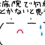 ヒメ日記 2025/07/05 17:16 投稿 あきみ ギン妻パラダイス 和歌山店