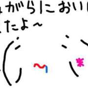 ヒメ日記 2025/07/10 13:10 投稿 あきみ ギン妻パラダイス 和歌山店