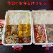 ヒメ日記 2025/09/23 12:53 投稿 あきみ ギン妻パラダイス 和歌山店