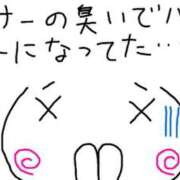 ヒメ日記 2025/10/10 10:32 投稿 あきみ ギン妻パラダイス 和歌山店