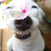 ヒメ日記 2025/11/14 17:47 投稿 あきみ ギン妻パラダイス 和歌山店