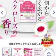 ヒメ日記 2025/11/14 18:07 投稿 あきみ ギン妻パラダイス 和歌山店