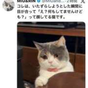 ヒメ日記 2025/11/26 00:36 投稿 あきみ ギン妻パラダイス 和歌山店