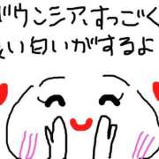 あきみ バウンシア良い匂い過ぎてヤバい😍 ギン妻パラダイス 和歌山店