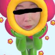 ヒメ日記 2025/12/09 14:07 投稿 あきみ ギン妻パラダイス 和歌山店