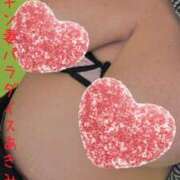 ヒメ日記 2026/01/31 09:54 投稿 あきみ ギン妻パラダイス 和歌山店