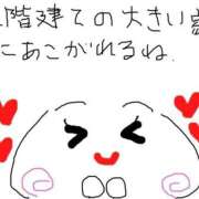 ヒメ日記 2026/02/12 10:55 投稿 あきみ ギン妻パラダイス 和歌山店