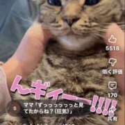 ヒメ日記 2026/04/01 17:51 投稿 あきみ ギン妻パラダイス 和歌山店