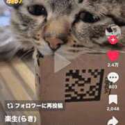 ヒメ日記 2026/04/24 18:33 投稿 あきみ ギン妻パラダイス 和歌山店