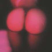 ヒメ日記 2025/03/19 08:37 投稿 絢香(あやか) 恋する人妻