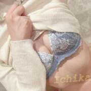 ヒメ日記 2025/03/01 07:58 投稿 イチカ FANTASY（ファンタジー）