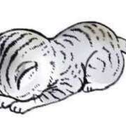 ヒメ日記 2025/06/15 11:55 投稿 みやび 萌えカワ