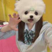 ヒメ日記 2026/03/23 21:23 投稿 みやび 萌えカワ