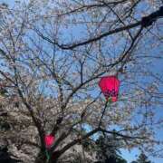 ヒメ日記 2026/04/06 20:43 投稿 みやび 萌えカワ