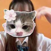 みやび 🈳 萌えカワ