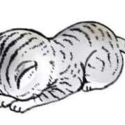 みやび 🙇‍♂️😭 萌えカワ