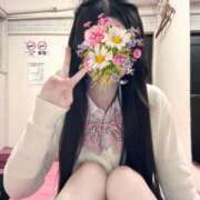 ヒメ日記 2025/04/11 06:05 投稿 まりか 萌えコス