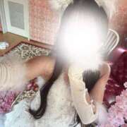 ヒメ日記 2025/07/14 14:55 投稿 まりか 萌えコス