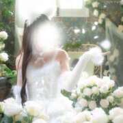 ヒメ日記 2025/07/20 11:08 投稿 まりか 萌えコス