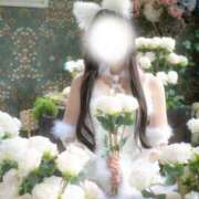 ヒメ日記 2025/07/21 22:35 投稿 まりか 萌えコス