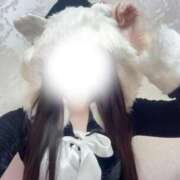 ヒメ日記 2025/12/23 08:55 投稿 まりか 萌えコス