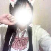 ヒメ日記 2025/12/31 13:05 投稿 まりか 萌えコス