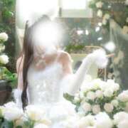 ヒメ日記 2026/04/07 06:05 投稿 まりか 萌えコス