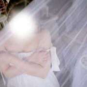 ヒメ日記 2026/04/24 20:07 投稿 まりか 萌えコス