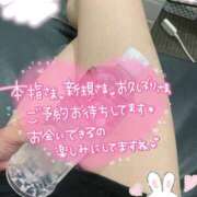 ヒメ日記 2025/06/12 14:44 投稿 ラン【観察範囲が背徳感】 秘書コレクション 高松店