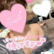 ヒメ日記 2025/06/25 18:44 投稿 ラン【観察範囲が背徳感】 秘書コレクション 高松店