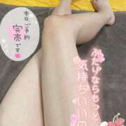 ヒメ日記 2025/08/29 21:44 投稿 ラン【観察範囲が背徳感】 秘書コレクション 高松店