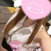 ヒメ日記 2025/09/19 08:54 投稿 ラン【観察範囲が背徳感】 秘書コレクション 高松店