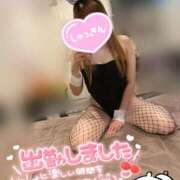 ヒメ日記 2025/10/11 09:28 投稿 ラン【観察範囲が背徳感】 秘書コレクション 高松店