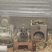 ヒメ日記 2025/05/21 20:14 投稿 マオ【心が忘れた極乱秘悦体験】 秘書コレクション 高松店