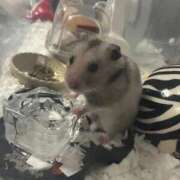 ヒメ日記 2025/09/18 18:14 投稿 マオ【心が忘れた極乱秘悦体験】 秘書コレクション 高松店